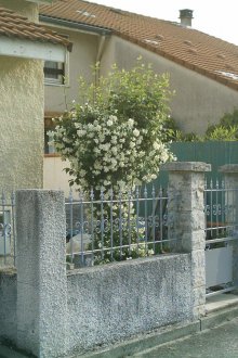 Кована ограда с бетонни стълбове