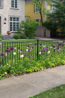 Ограда от ковано желязо