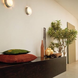 Драцена в коридора