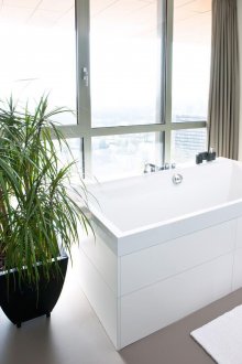 Драцена в банята