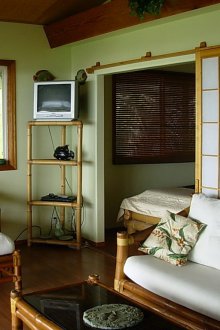 Ориенталски маслинен цвят