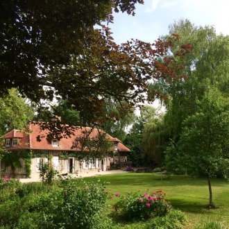 Декоративни храсти в страната