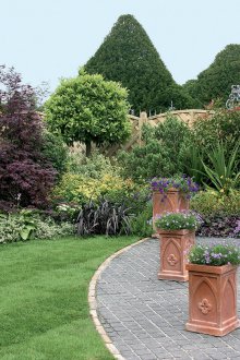 Декоративни храсти пред къщата