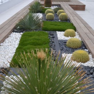 Декоративни кактуси в градината