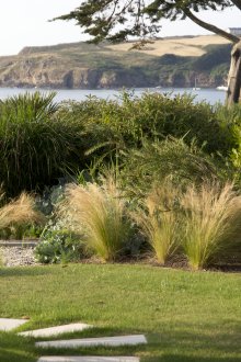 Влаголюбиви декоративни храсти