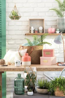 Декоративни растения в интериора