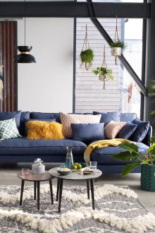 Стайни растения в къщата