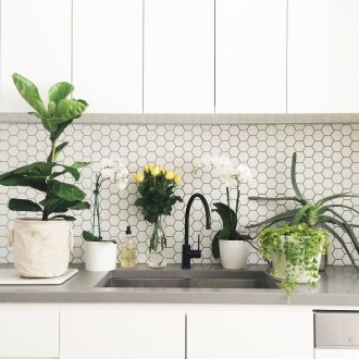 Стайни растения в кухнята