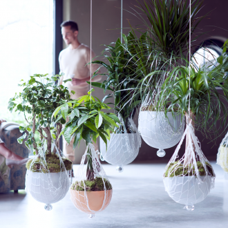 Стайни растения в стил лофт