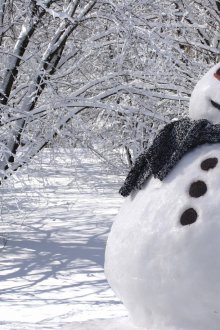 снежен човек сняг