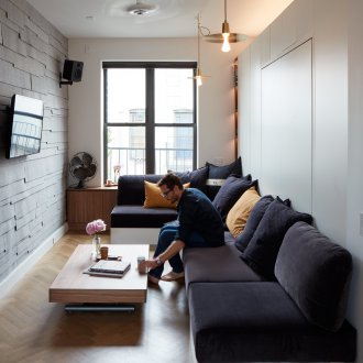 Ideas for a studio apartment with a living room