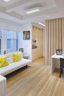 Ideas for an Art Nouveau Studio