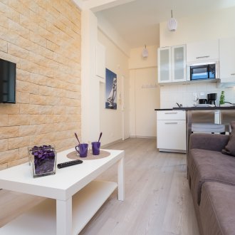 Studio apartment is bright