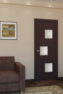 Тъмна вътрешна врата към хола