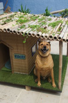 Кутия за кучета, изработена от бамбук