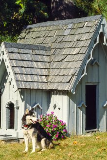 Кучешка къща