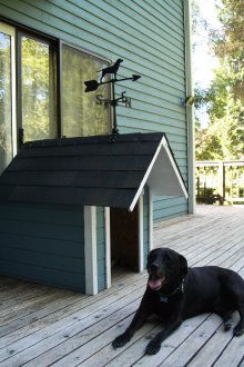Кабинка за кучета с метеорологично оформяне