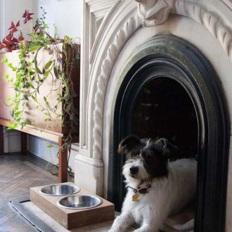 Кутия куче за камина