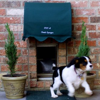 Тухлена кукла за кучета