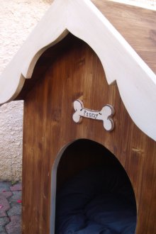 Куче куче оцветено