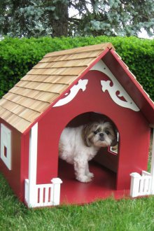 Куче кутия червено