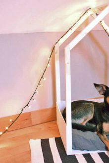 Кучешко легло