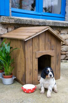 Кутия за малки кучета