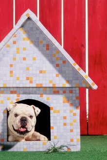 Украса за кутия за кучета