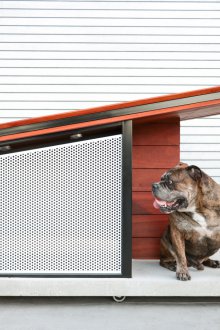 Мобилна кутия куче