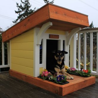 Кутия за кучета с тераса