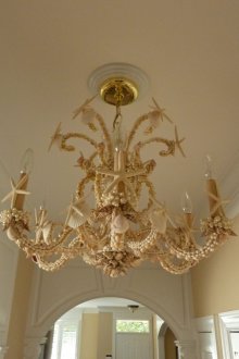 Декорни черупки на полилей