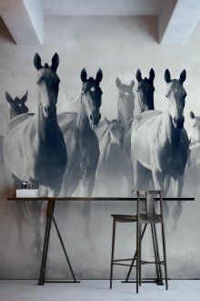 Рисуване на коне на стената