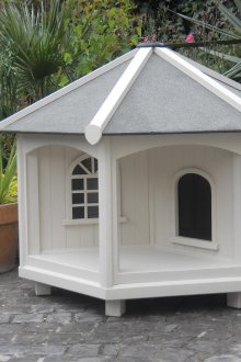 Къща с бяла котка