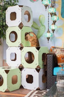 Къща за котки извън кутията