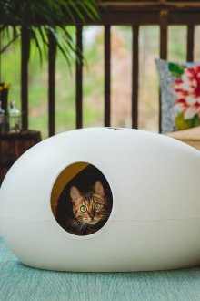 Модерна котешка къща