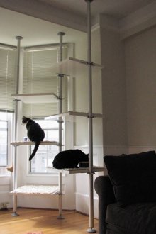 Котешки хамак