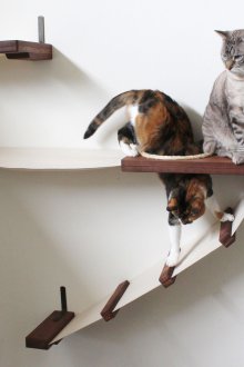 Котешки хамак със стълби