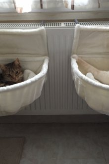 Лежанка за хамак за котка