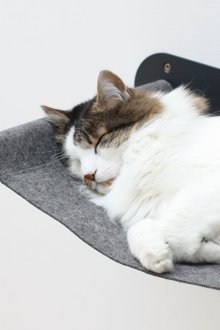 Хамак за котки върху метална рамка