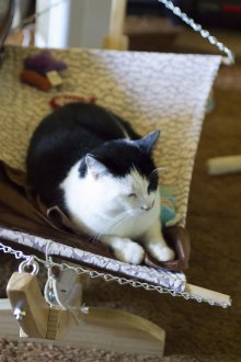 Малък хамак за котка