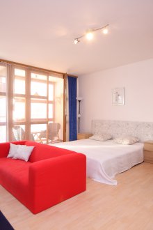 Furnished studio apartment in a simple design