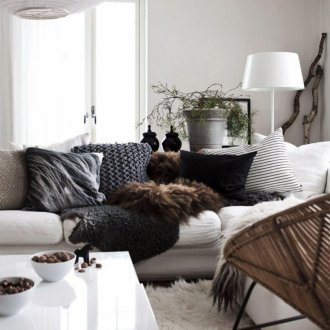 Furnishing studio apartment and fur decor