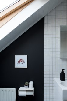 Таванска черна баня