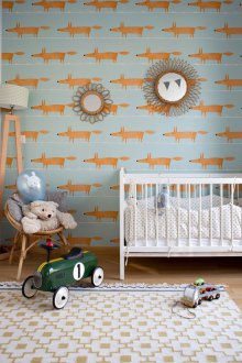 여우와 신생아를 위한 방