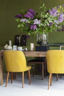 Зелен цвят в интериора на фън шуй