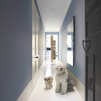 Декорация на коридор в синьо, ако кучето е в апартамента