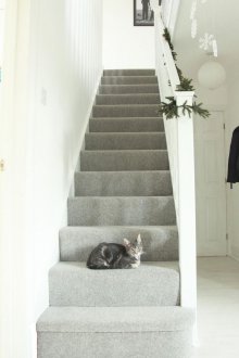 Декорация на коридор с килим за котка