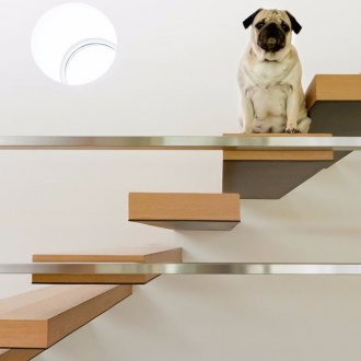 Дизайнът на стълбите, ако кучето е в къщата