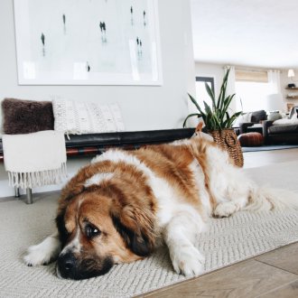 Ремонт на коридор в скандинавски стил