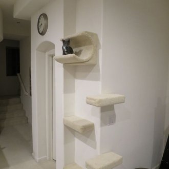 Дизайнът на ъгъла на коридора с котка